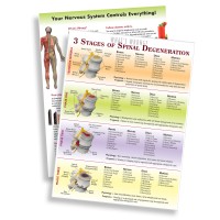 Handouts - Spinal Degeneration (2-sided)