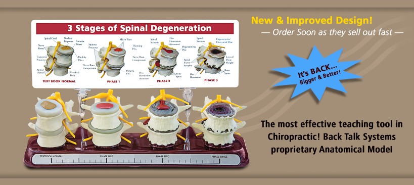 Stages of Spinal Degeneration Model