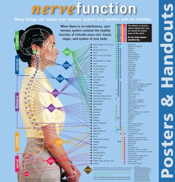 Nerve Functions