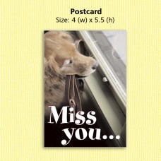 Postcard - Dog