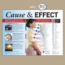Poster - Cause & Effect